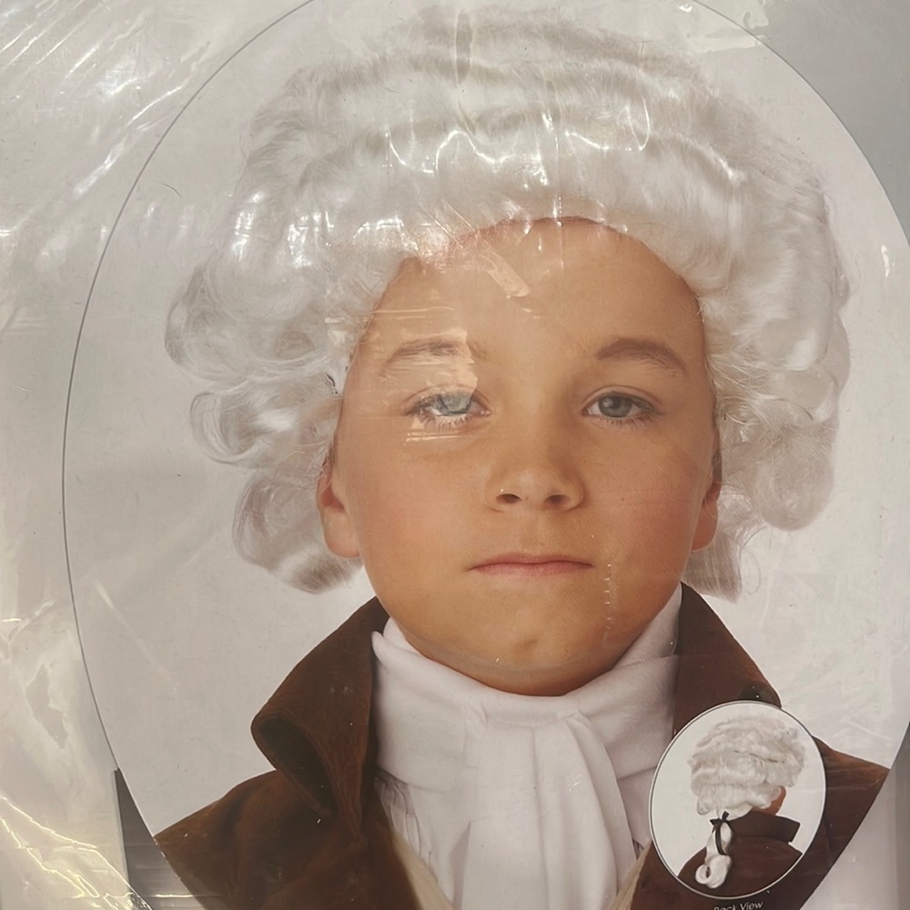 Colonial man wig by Calofornia wig collection